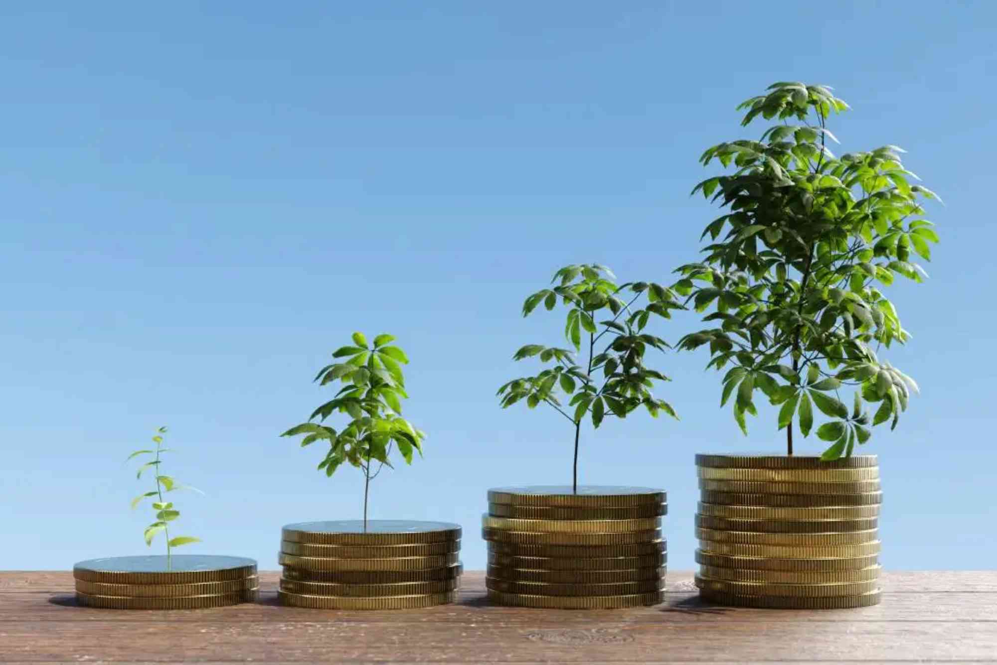 أهمية الاستثمار في تحسين العمليات اليومية